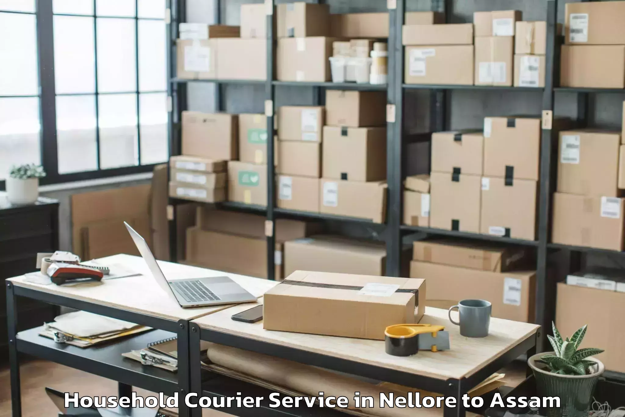 Trusted Nellore to Dudhnoi Household Courier